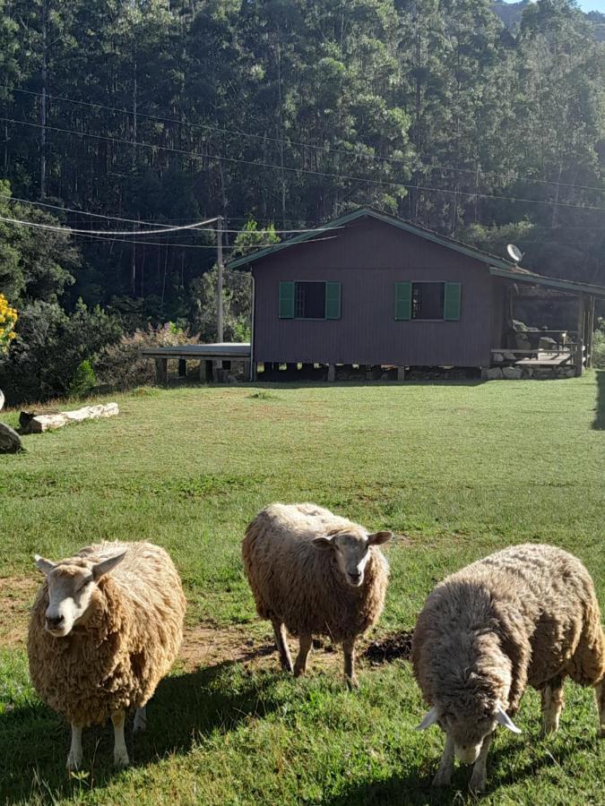 Morada Vale Das Aguas ساو بونيفاسيو المظهر الخارجي الصورة